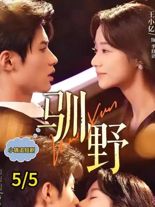 番茄视频年代家庭剧旧巷灯火